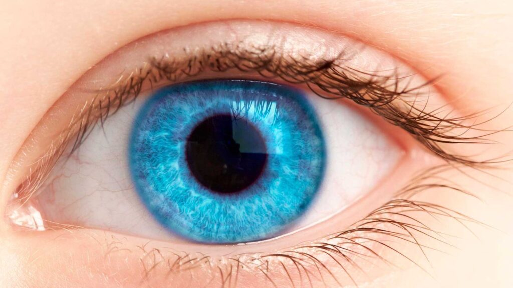 Como funciona a cirurgia para reparação de descolamento de retina