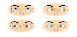 Conheça os exercícios para tentar corrigir o olho preguiçoso